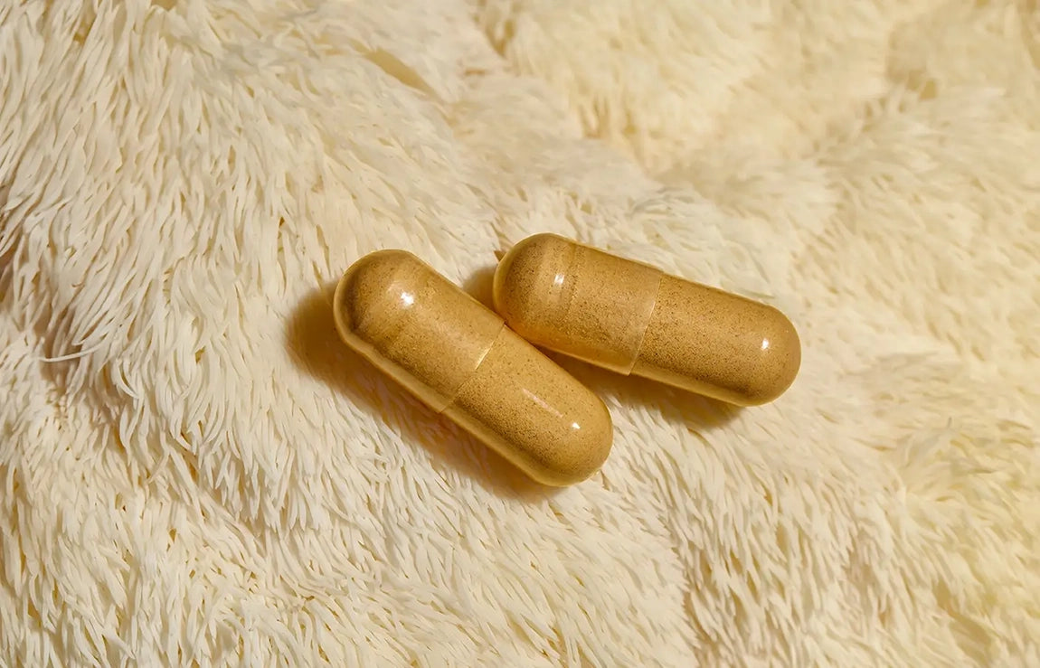 {"loading" => "lazy", "class" => "image-fit", "sizes" => "(min-width: 1600px) 750px,\n (min-width: 750px) calc((100vw - 10rem) / 2), calc((100vw - 3rem) / 2)\n", "is" => "lazy-image"}