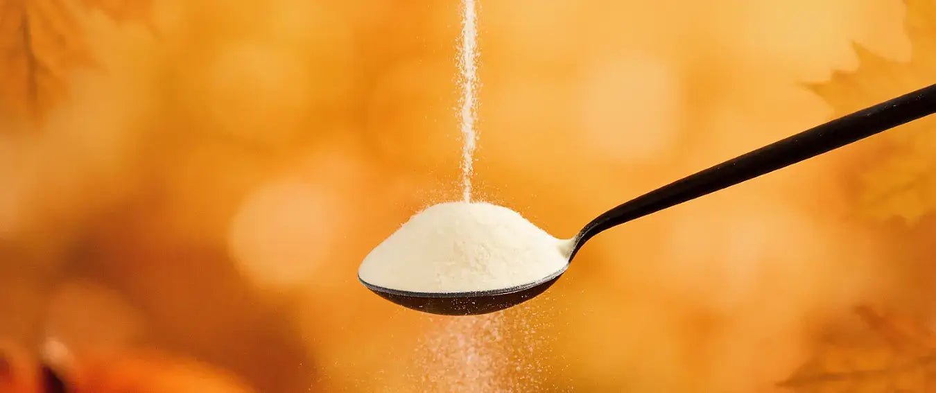 Fall in Love With Collagen (One Scoop at a Time)