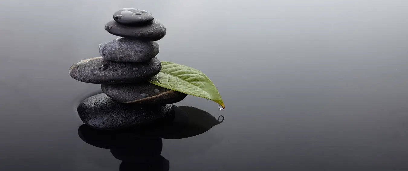 Morning Ritual: 5 Simple Steps to a Zen Day