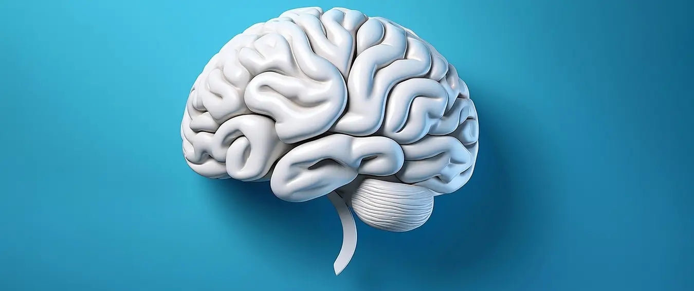 8 Scientifically Proven Tips to Boost Intelligence and Brain Health