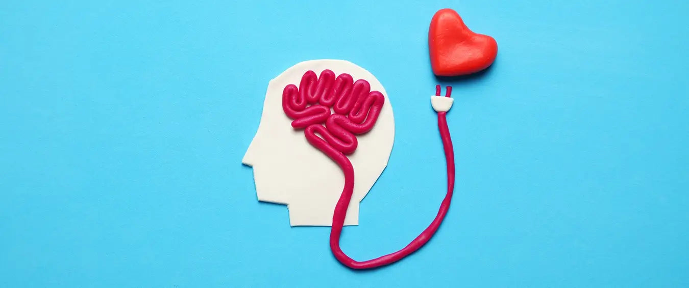 brain heart connection