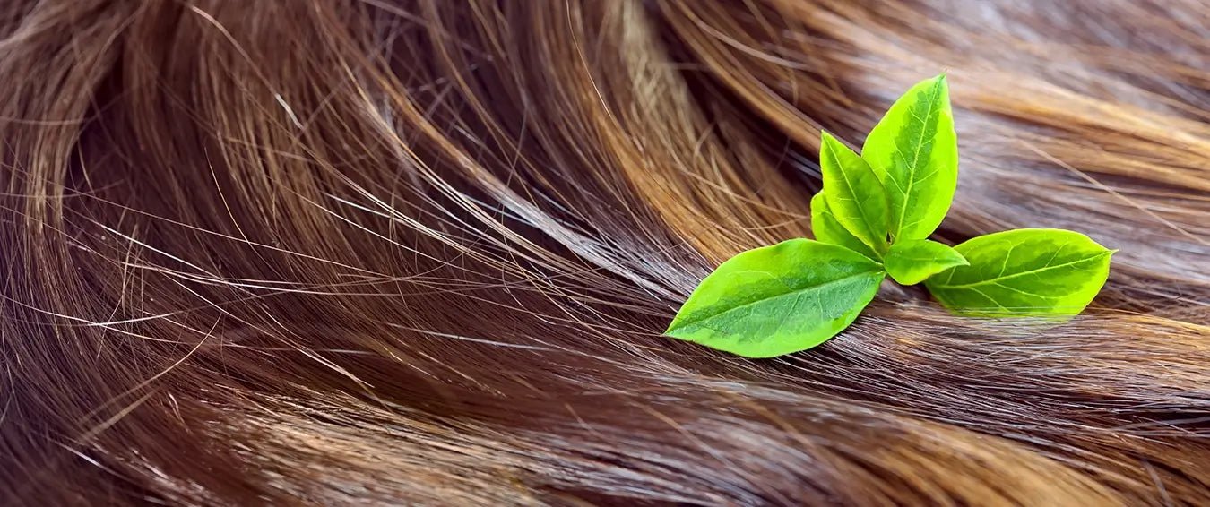 leaves on hair