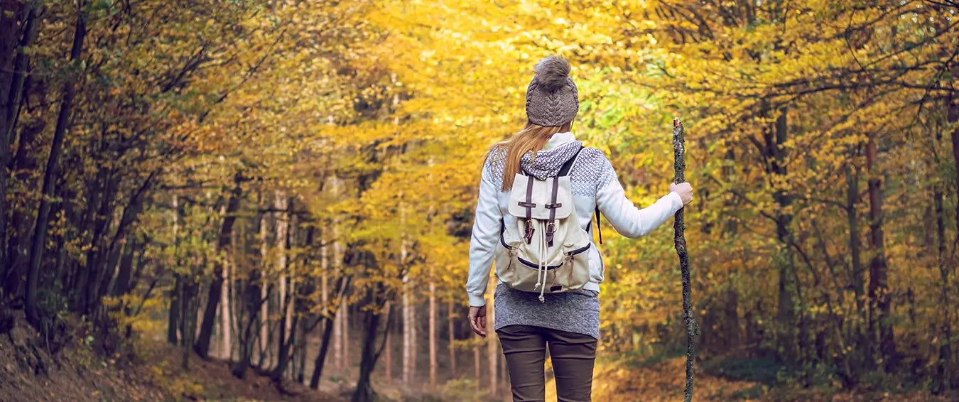 woman hiking in the forest in autumn