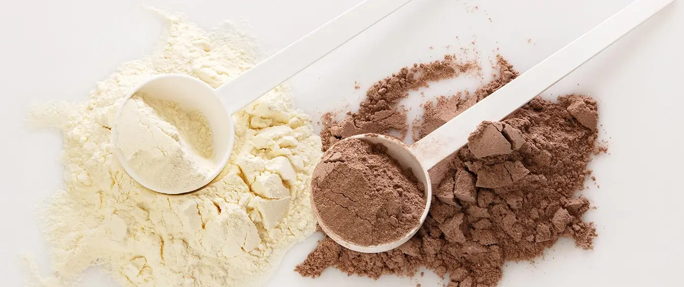 vanilla and chocolate protein powders