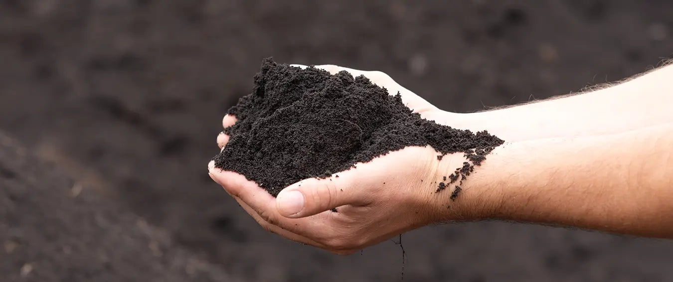 man holding fertile black soil in his palms