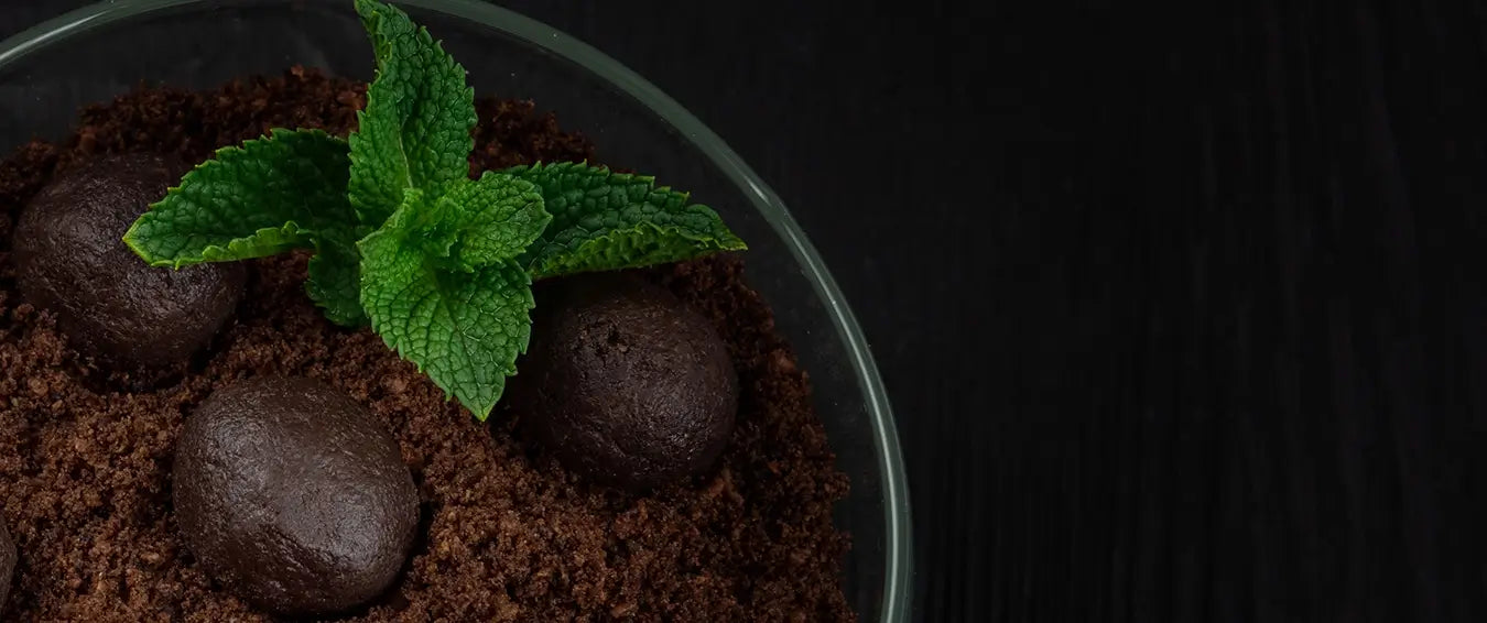 dark chocolate peppermint brownie balls