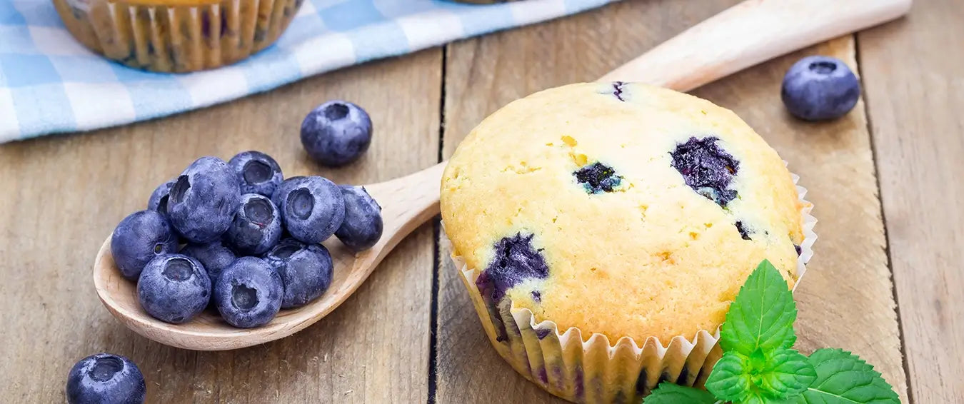 blueberry muffin