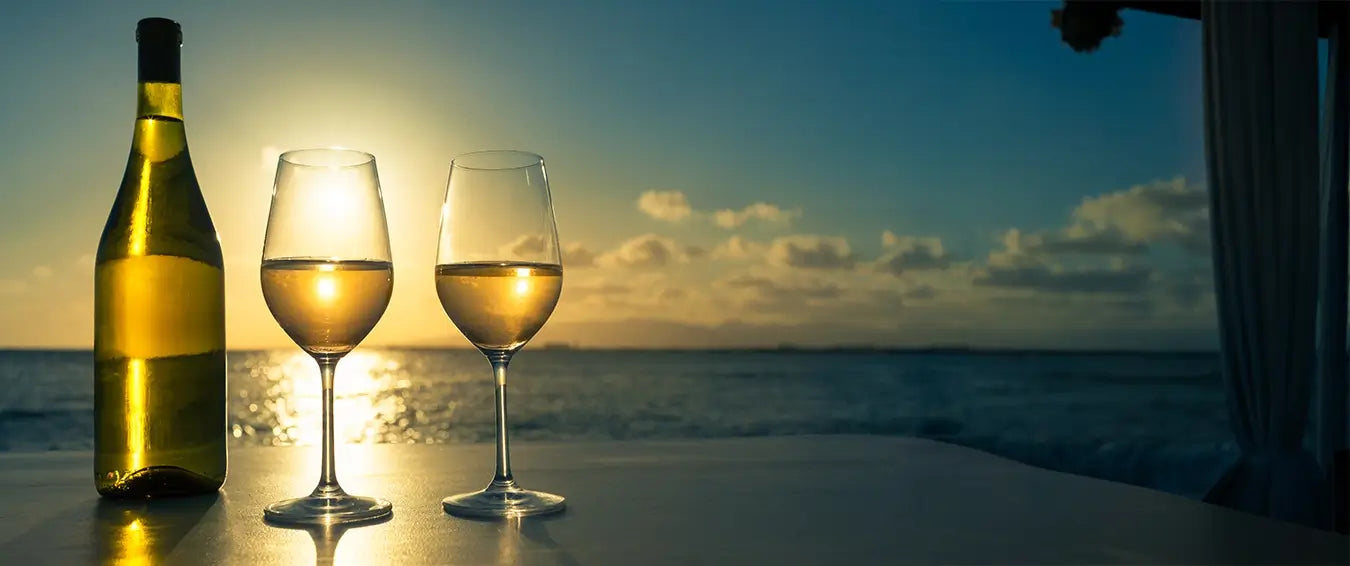 a bottle of white wine and a couple of glasses by the ocean at sunset