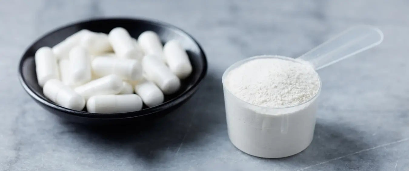 collagen capsules in a small bowl and collagen powder in a small scoop