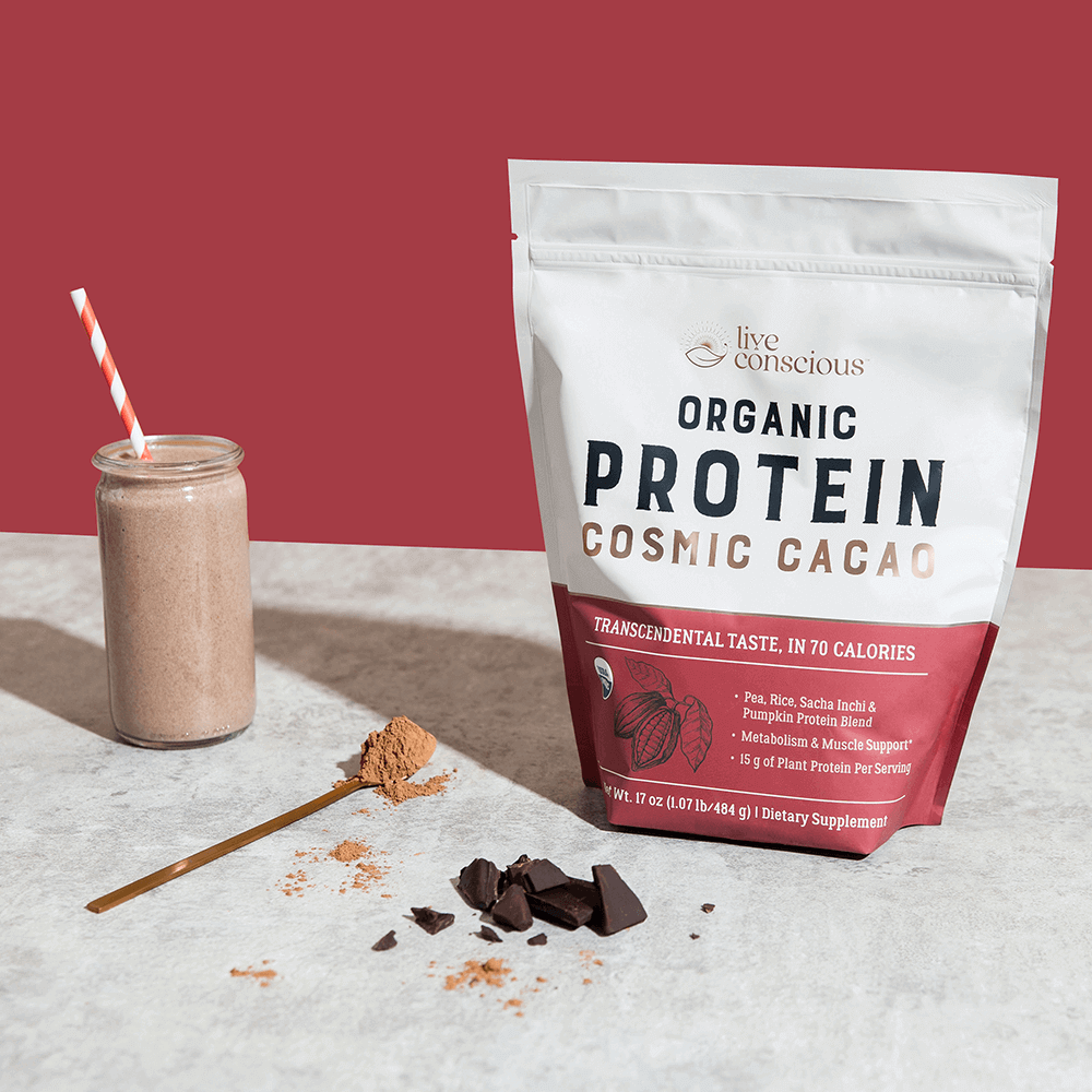 Protein: Cosmic Cacao