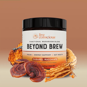 Beyond Brew Caramel Macchiato