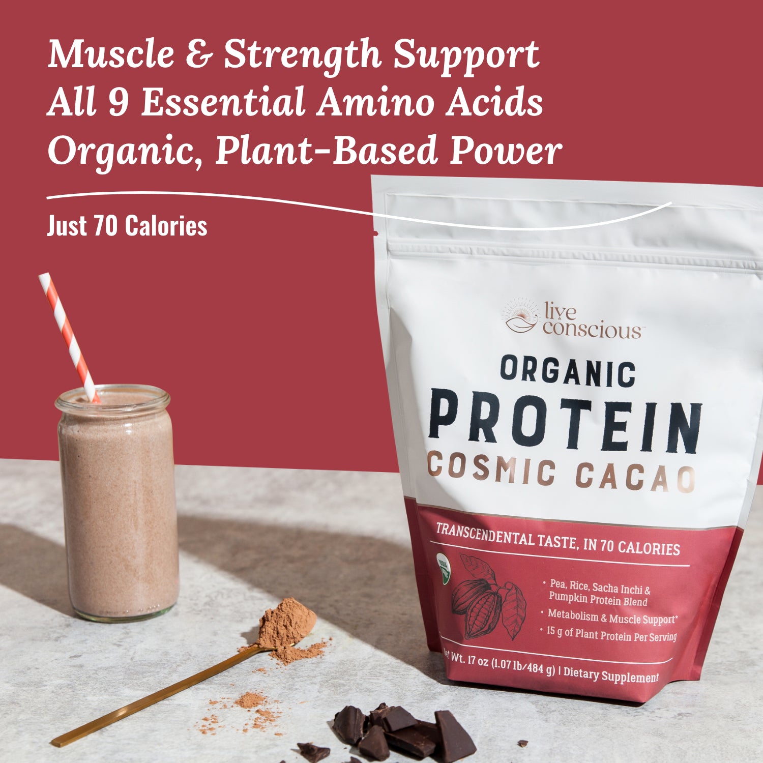 Protein: Cosmic Cacao