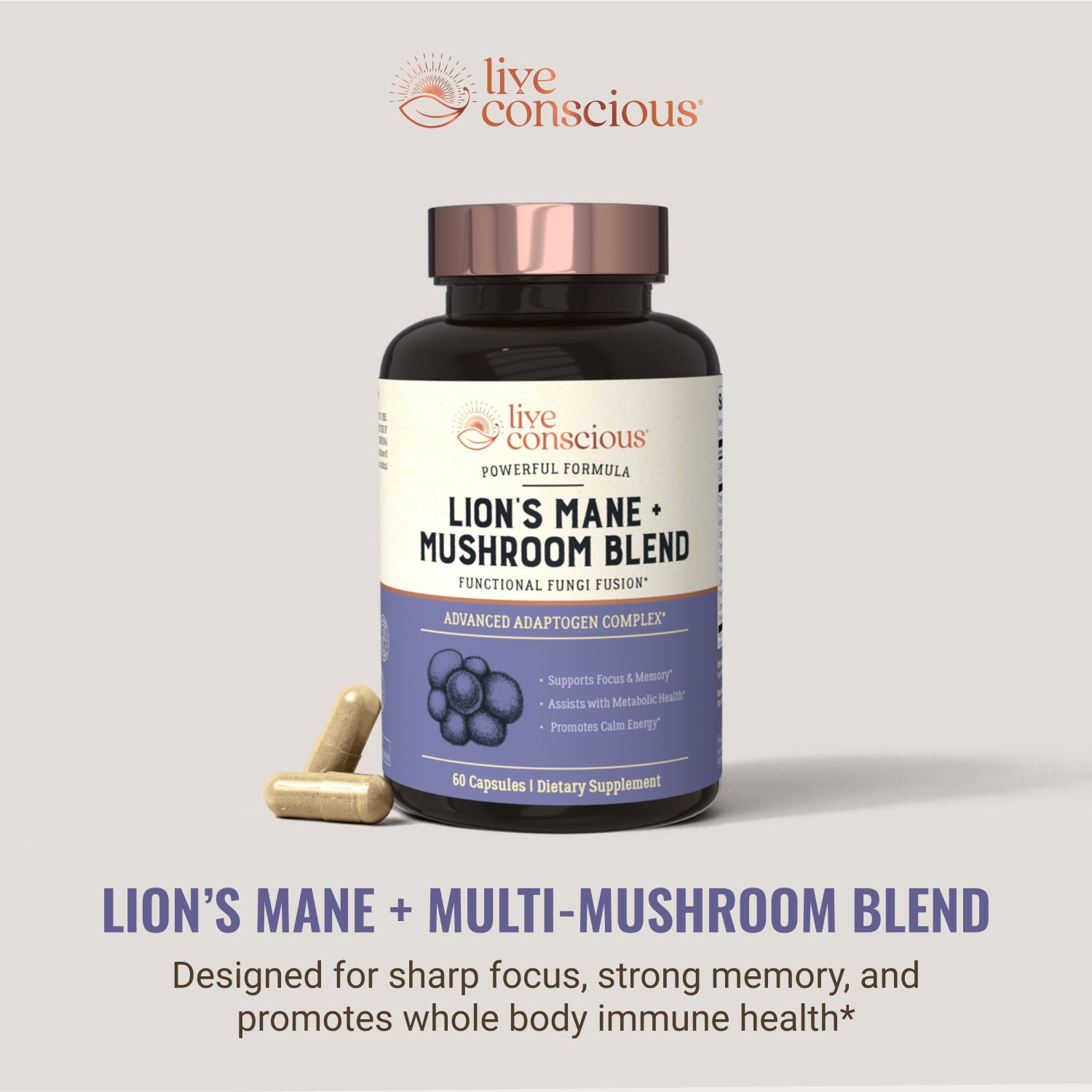 Lion's Mane + Mushroom Blend