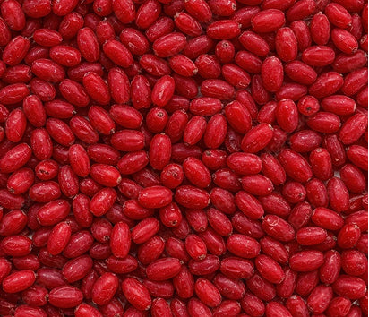 Berberine Phytsosome Red Berries