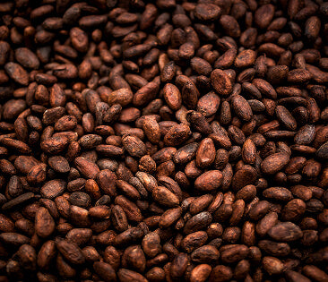 Organic Cacao