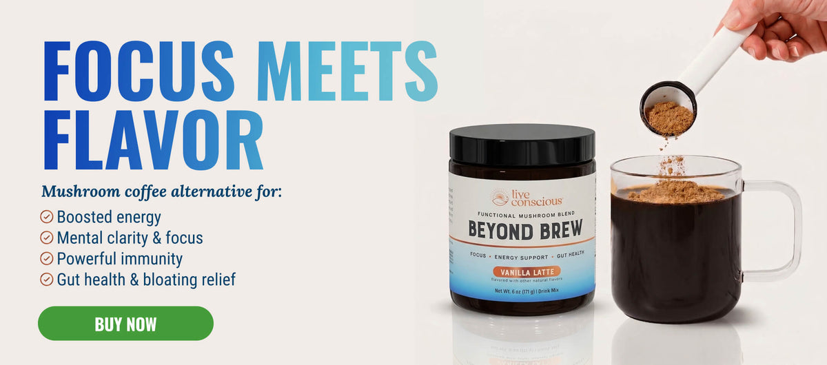 Beyond Brew Vanilla Latte: Mushroom Coffee Alternative with L-Theanine ...
