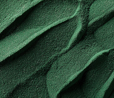 chlorella