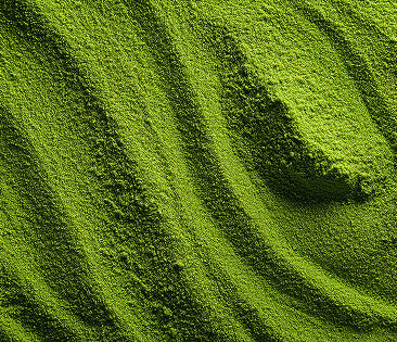 matcha