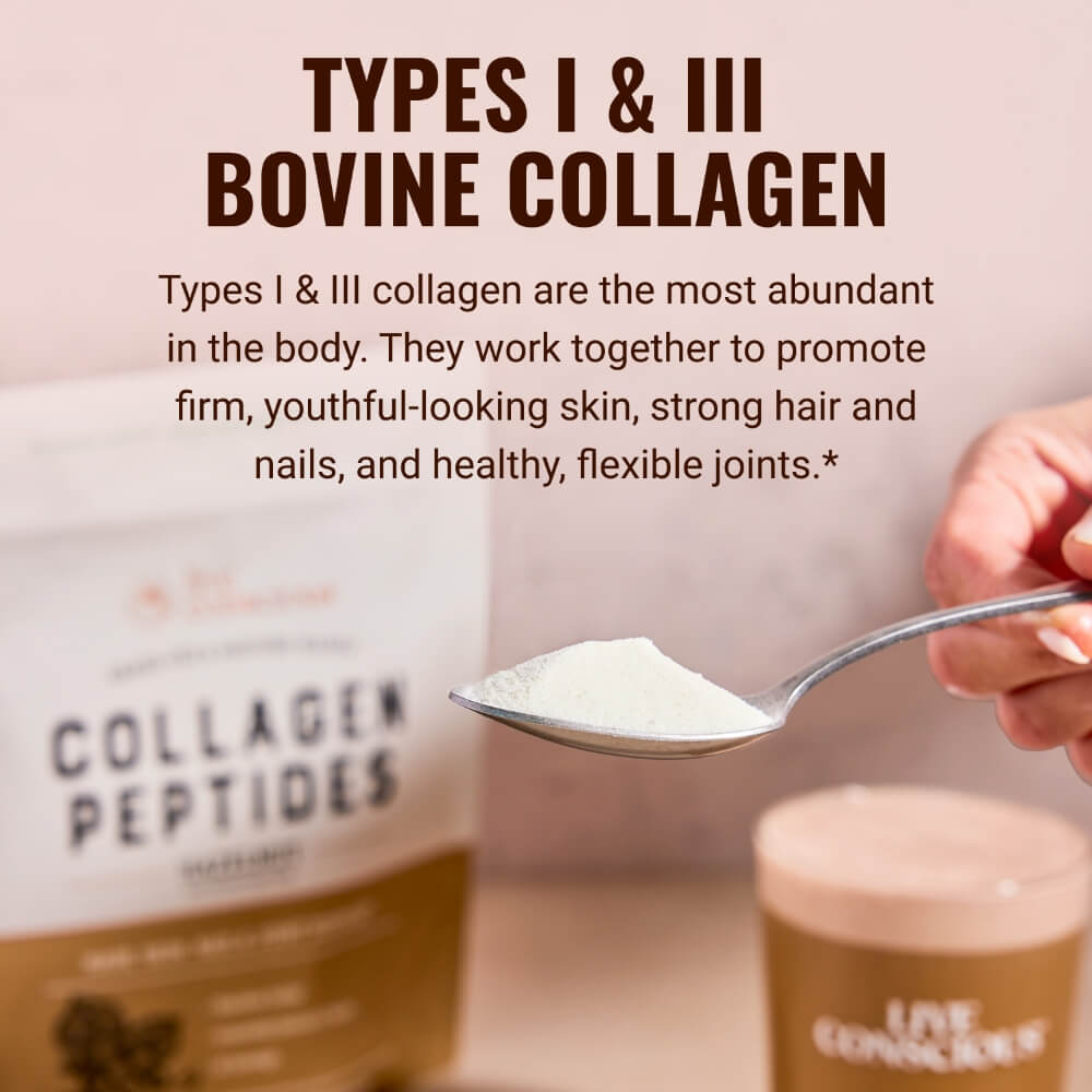 Collagen Peptides Hazelnut