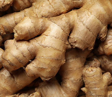 ginger extract