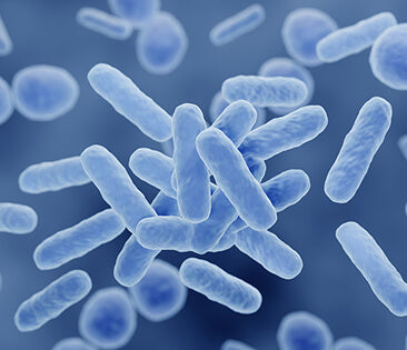 probiotics