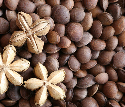 Sacha Inchi Seed