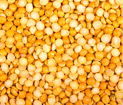 Yellow Pea