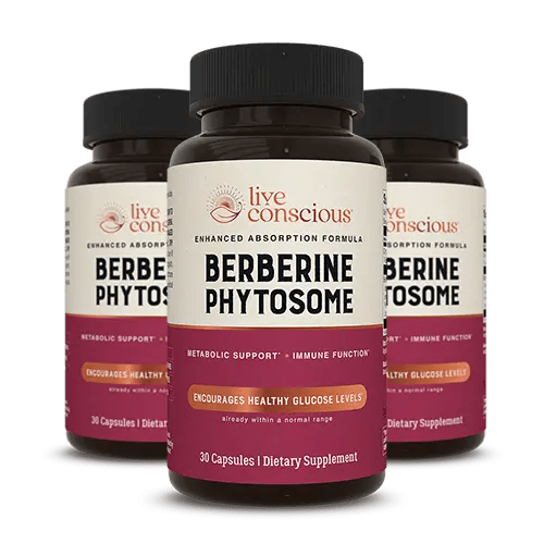 Live Conscious Berberine Phytosome supplement bottles with black caps and burgundy labels, three bottles arranged in a row