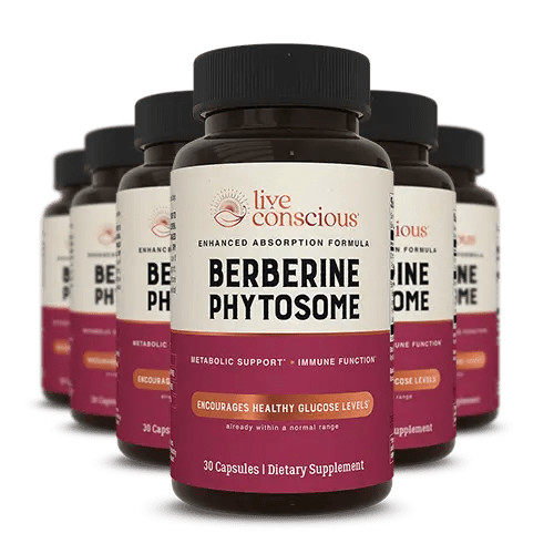 Live Conscious Berberine Phytosome supplement bottles arranged in a group, featuring dark glass containers with burgundy