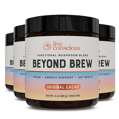Beyond Brew Original Cacao functional mushroom blend drink mix by Live Conscious, 6 oz jar with black lid
