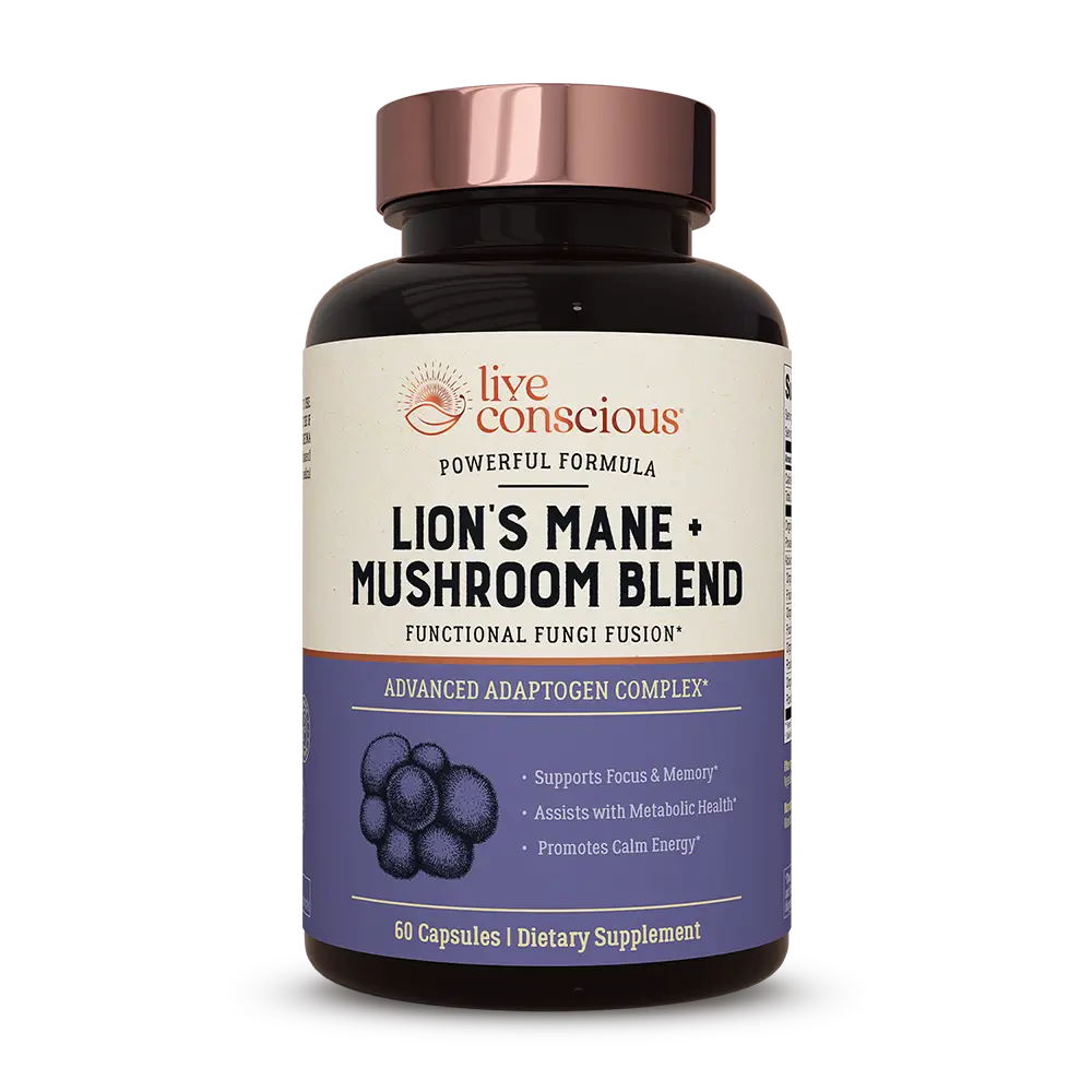 Lion's Mane + Mushroom Blend