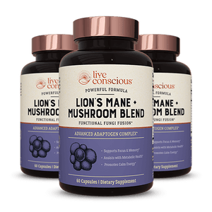 Live Conscious Lion's Mane + Mushroom Blend bottles with copper caps, featuring purple labels and brain icon design
