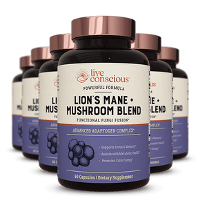 Live Conscious Lion's Mane + Mushroom Blend supplement bottles arranged in a circle, featuring dark label with purple accent