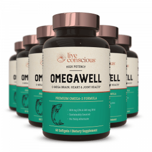 Five bottles of OmegaWell omega-3 supplement with copper and teal labels arranged in pyramid formation