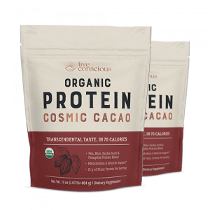 Live Conscious Organic Protein Cosmic Cacao powder, 2-bag bundle with cream and burgundy packaging
