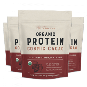 Live Conscious Organic Protein Cosmic Cacao powder pouches displayed in front view showing burgundy and cream packaging