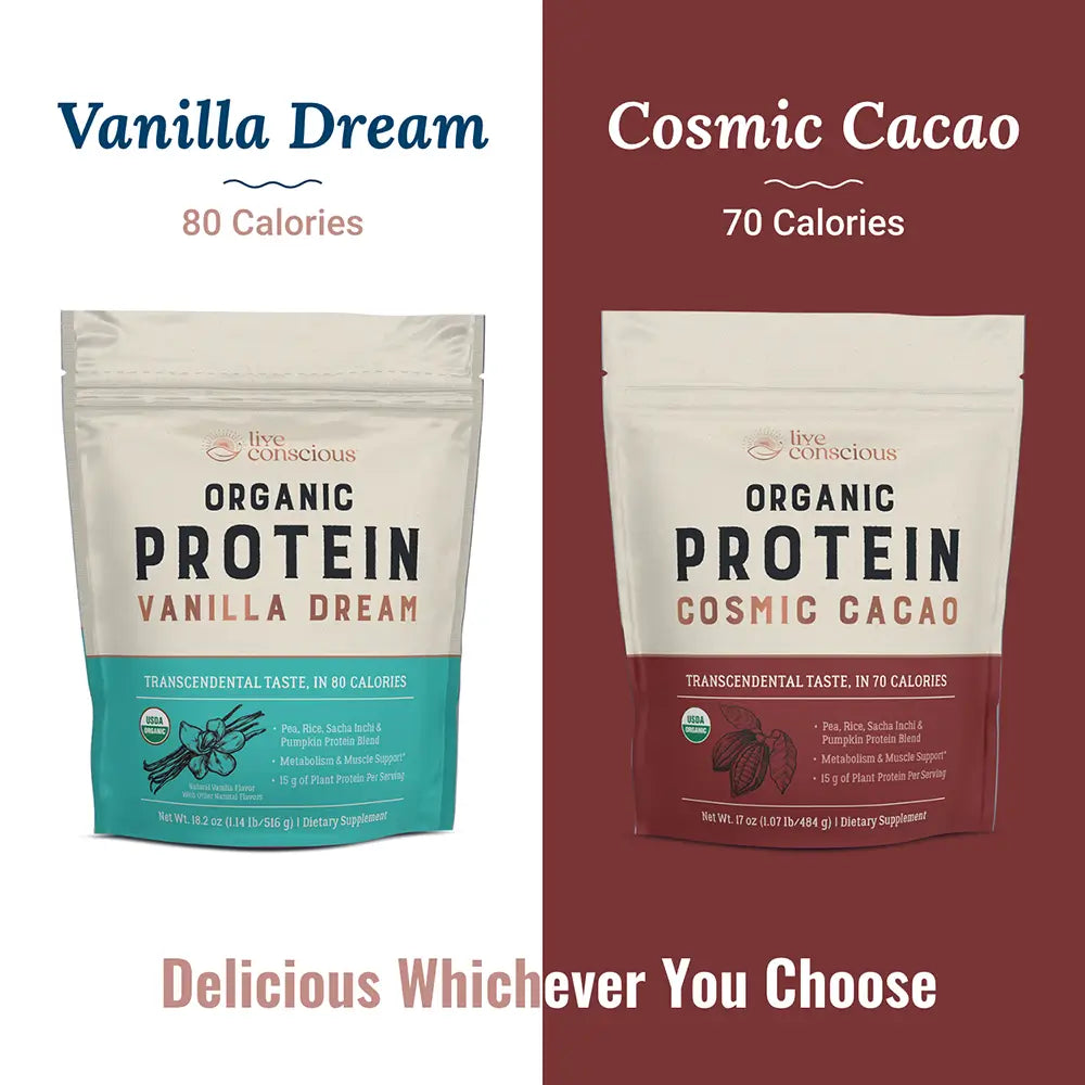 Protein: Vanilla Dream